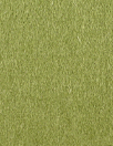 Oslo virgin wool brushed lightweight coating - kiwi