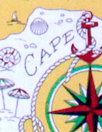 Cana1i Italian &#39;Cape Cod cartography 2&#39; cotton voile .75 yds