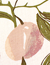 CA designer 'apricot tree' cotton poplin Oeko-tex certified