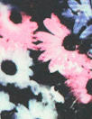 Fabric thumbnail