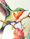 Dutch digital 'hummingbird floral' cotton knit panel, Oeko-Tex