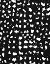 black/white 'dauby dots' doubleknit, Oeko-Tex cert. 2 yd