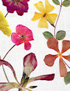 100% linen digital print - pressed wildflowers