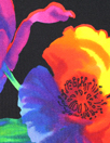 Italian Ba1enciaga vivid floral matte jersey knit