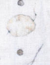 Dutch cotton mouseline, Oeko-Tex certified - lunaria