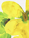 CA designer 'lemon-lime floral' poly crepe woven