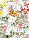 M. Lhui11ier 'floral paradise' printed guipure lace