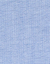 oxford cloth cotton shirting - blue/white