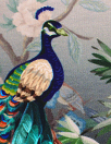 Dutch digital 'exotic aviary' cotton knit 1 Oeko-Tex cert.