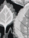 Dutch digital 'leaf photogram' cotton knit Oeko-Tex cert. 