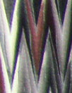 Fabric thumbnail