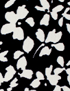 NY designer b/w floral stretch silk georgette