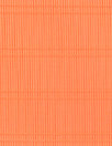 Text0llini mandarin double rib nylon swimwear